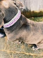 Collier pour chien personnalisé Happy Mattie, Enlèvement ou Envoi, Fait main, Neuf