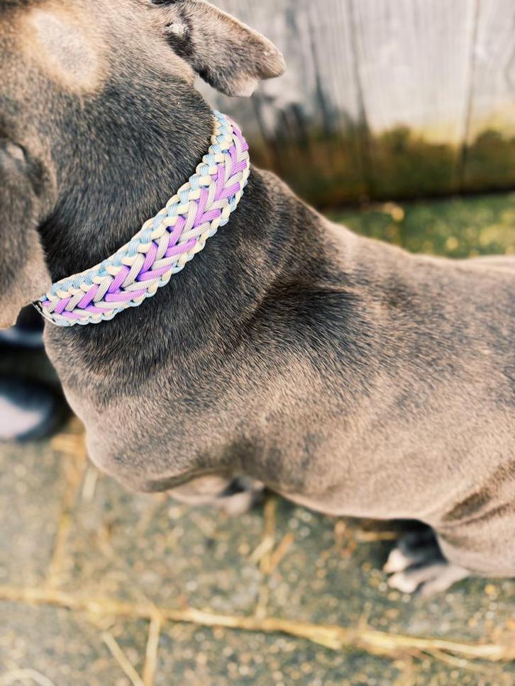 Collier pour chien personnalisé Happy Mattie, Animaux & Accessoires, Colliers & Médailles pour chiens, Neuf, Fait main, Enlèvement ou Envoi