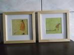 2 mooie kaders 25cm X 25 cm met leuke afbeelding Prijs: € 20, Ophalen