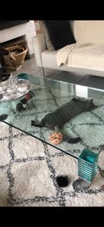 Salontafel, Huis en Inrichting, Ophalen, Glas