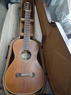 WASHBURN 319SWKK Parlor Blues ALL-SOLID WOOD GUITAR!, Enlèvement, Utilisé, Guitare Western ou Guitare Folk, Avec valise