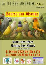 Vogeluitwisseling, Dieren en Toebehoren, Ophalen, Nieuw, Overige materialen, Overige typen