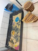 2 Cavia met kooi, Enlèvement ou Envoi, Comme neuf, Cage, Cobaye