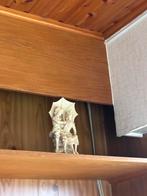 Prachtig beeldje, Antiek en Kunst, Ophalen