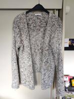 Hampton bays gilet medium, Ophalen of Verzenden, Zo goed als nieuw, Maat 38/40 (M)
