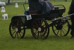 De laat marathonwagen, Utilisé, Calèche marathon, Cheval ou Poney