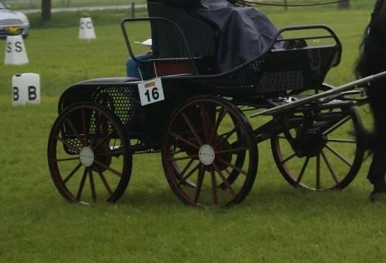 De laat marathonwagen, Dieren en Toebehoren, Rijtuigen en Koetsen, Gebruikt, Marathonwagen, Paard of Pony