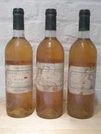 Muscat de Beaumes de Venise 1989., Ophalen, Frankrijk, Witte wijn, Vol