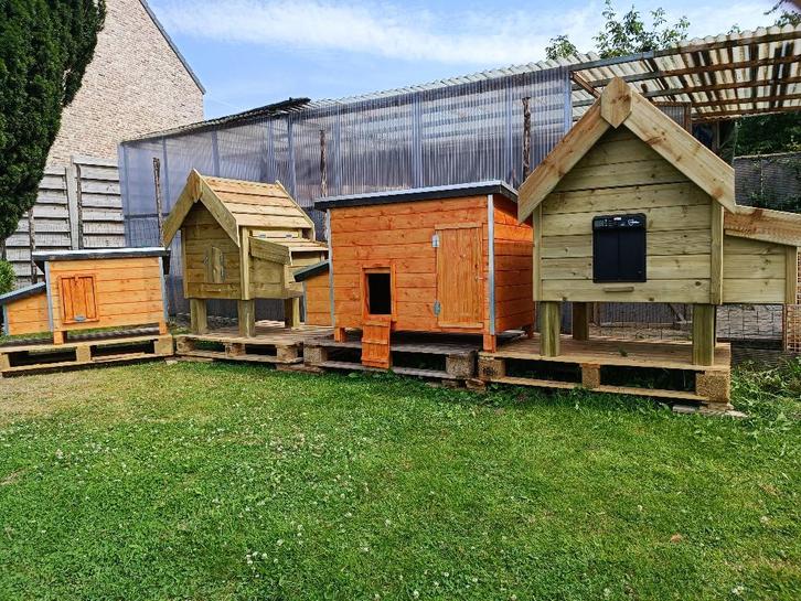 kippenhokken actie GRATIS LEVERING + MONTAGE 0499/082381, Dieren en Toebehoren, Pluimvee | Toebehoren, Nieuw, Kippenhok of Kippenren