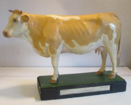 ancien modèle en cuir d'une vache d'école 37, Antiquités & Art, Curiosités & Brocante, Enlèvement