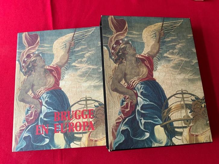 Brugge en Europa, Boeken, Geschiedenis | Stad en Regio, Zo goed als nieuw, 14e eeuw of eerder, Ophalen of Verzenden