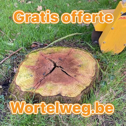 Wortels in de tuin wij verwijderen wortels, Tuin en Terras, Gras en Kunstgras, Zo goed als nieuw, Ophalen of Verzenden