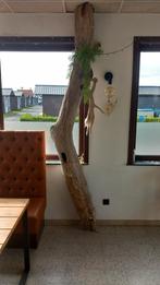 Deco boomstam, Huis en Inrichting, Ophalen