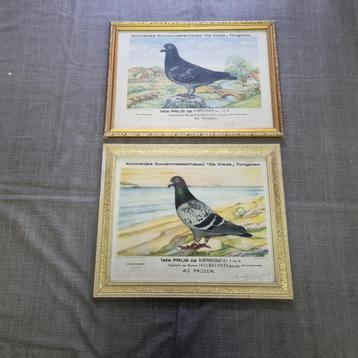 2 ingekaderd prenten van Duivenwedstrijd beschikbaar voor biedingen