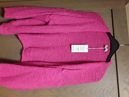 Bernadette vest terra di siena TU nieuw, Kleding | Dames, Truien en Vesten, Nieuw, Roze, Ophalen of Verzenden
