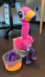 Flamingo gotta go, Enlèvement