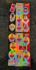 Panini 2014 belgian Rombouts, Collections