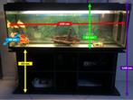 Aquarium - Vissen - 150x4057 - 330+ Liter, Dieren en Toebehoren, Vissen | Aquaria en Toebehoren, Ophalen of Verzenden, Zo goed als nieuw