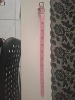 Collier pour chien ou chat neuf