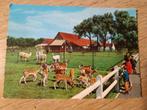 oude postkaart Meli Park (herten , lama's, alpaca's), Verzamelen, Gelopen, Ophalen of Verzenden