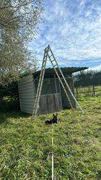 Schuilstal MOET WEG, Dieren en Toebehoren, Stalling en Weidegang, Stalling, 2 of 3 paarden of pony's