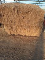 Hooi Te koop, Dieren en Toebehoren, Ophalen