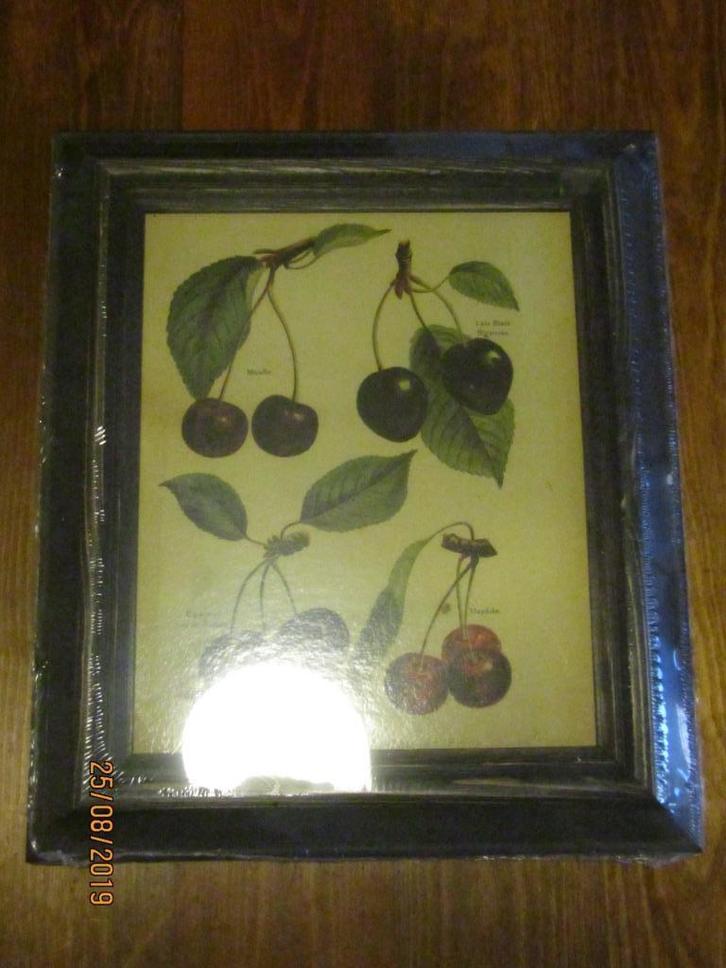 Gekaderde prints van fruit varieteiten - 2 verschillende, Antiek en Kunst, Kunst | Schilderijen | Klassiek, Ophalen