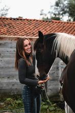 Paardentrainer bij allerhande gedragsproblemen, Paardrijles of Ponykampen