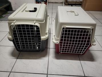 2 katten transporters beschikbaar voor biedingen