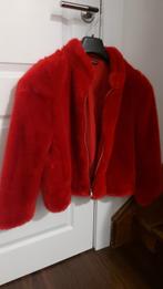 Zara Dames jas   Maat S ., Kleding | Dames, Zara, Nieuw, Ophalen of Verzenden, Maat 36 (S)