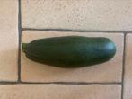Bio courgette eigen kweek, Tuin en Terras, Planten | Tuinplanten, Ophalen