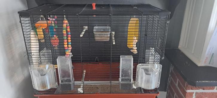 Grand cage, Animaux & Accessoires, Oiseaux | Accessoires, Enlèvement
