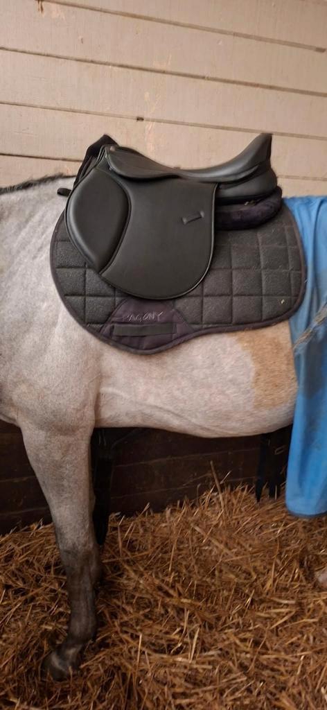 18 inch zadel, Dieren en Toebehoren, Paarden en Pony's | Zadels, Zo goed als nieuw, Ophalen