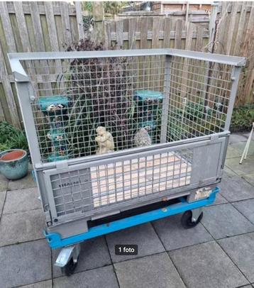 gitterbox met palletkar beschikbaar voor biedingen