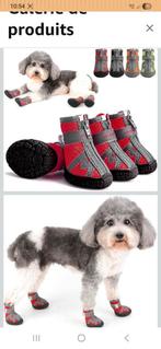 Accessoires  chiens