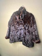 Bond jas, Enlèvement ou Envoi, Comme neuf