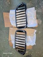 Calandre bmw serie 5 g30 2019