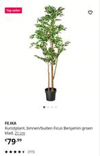 Kunstplant Ikea Fejka voor binnen/buiten, Ophalen, Binnen