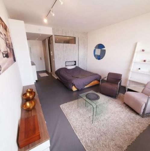 Fully furnished studio close to central station & city park, Immo, Appartements & Studios à louer, Anvers (ville), 20 à 35 m²