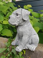 boxer hond , beeld, Ophalen of Verzenden, Nieuw