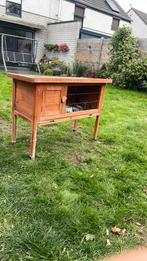 Konijnen koptje, Dieren en Toebehoren, Knaagdieren en Konijnen | Hokken en Kooien, Ophalen, Gebruikt, 60 tot 90 cm, Hok