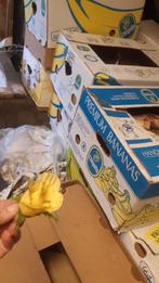 kunstbloem gele bloem, Enlèvement ou Envoi, Comme neuf, Intérieur