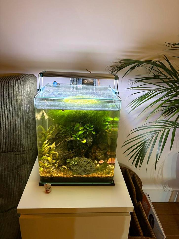 Nano aquarium kit (incl. filter, heater, twinstar light), Dieren en Toebehoren, Vissen | Aquaria en Toebehoren, Gebruikt, Leeg aquarium