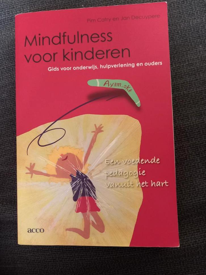 P. Catry - Mindfulness voor kinderen met DVD, Livres, Psychologie, Enlèvement ou Envoi