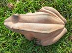 GROTE KIKKER IN GIETIJZER MET BRUINE PATINA, Tuin en Terras, Ophalen of Verzenden, Zo goed als nieuw, Overige materialen, Dierenbeeld