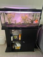 Aquarium 120l + 2 vissen, Dieren en Toebehoren, Ophalen, Gebruikt, Overige typen