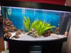 Aquarium juwel vision, Ophalen, Zo goed als nieuw