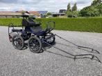 Koets, Dieren en Toebehoren, Rijtuigen en Koetsen, Gebruikt, Paard