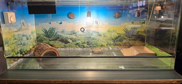 Terrarium Reptielen, Animaux & Accessoires, Reptiles & Amphibiens | Accessoires, Comme neuf, Terrarium ou Paludarium, Enlèvement