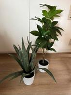 Fausses plantes avec pots, Maison & Meubles, Plante verte, Enlèvement ou Envoi, Moins de 100 cm